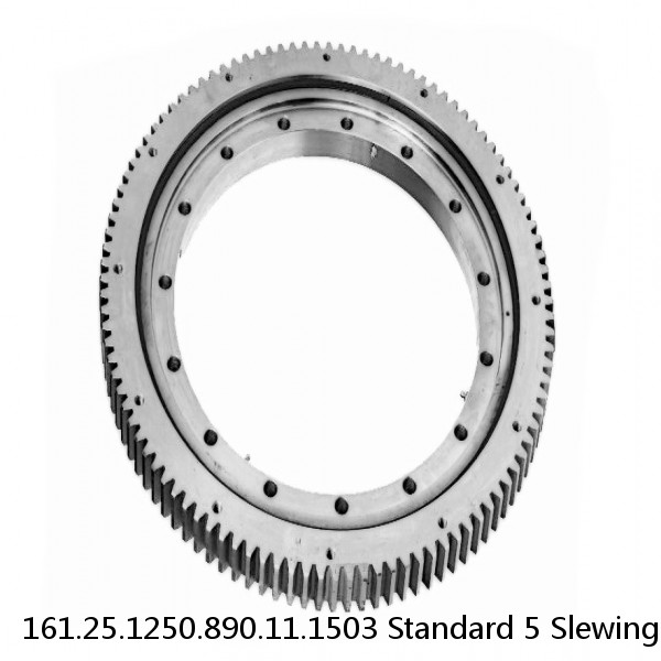 161.25.1250.890.11.1503 Standard 5 Slewing Ring Bearings