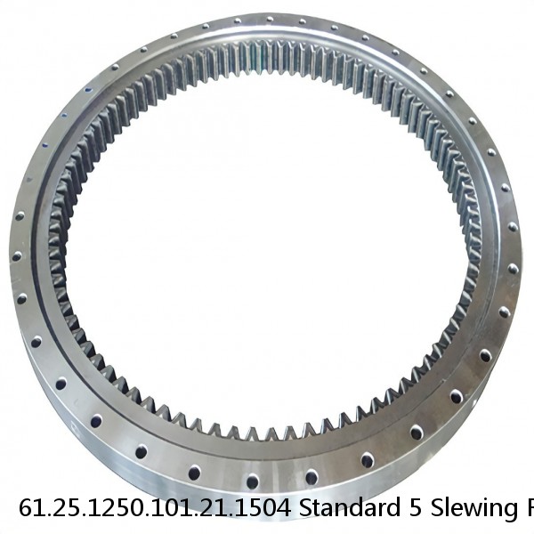 61.25.1250.101.21.1504 Standard 5 Slewing Ring Bearings