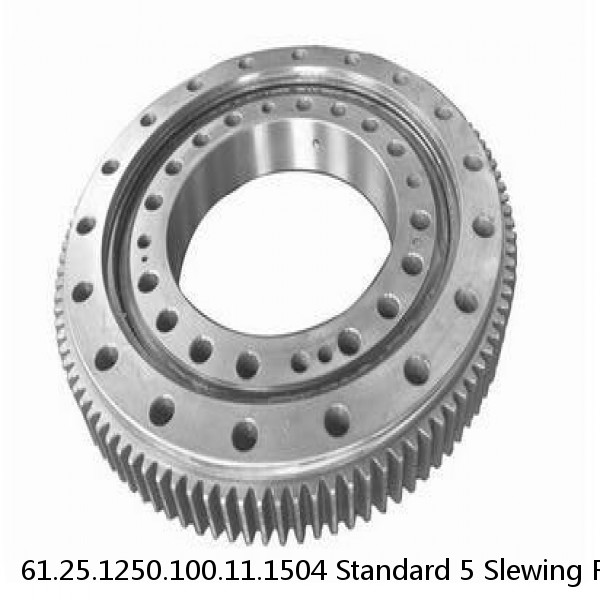 61.25.1250.100.11.1504 Standard 5 Slewing Ring Bearings